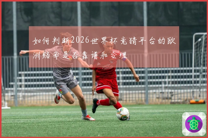 如何判断2026世界杯竞猜平台的欧洲赔率是否靠谱和合理
