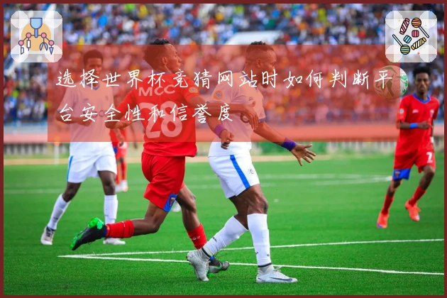 选择世界杯竞猜网站时如何判断平台安全性和信誉度