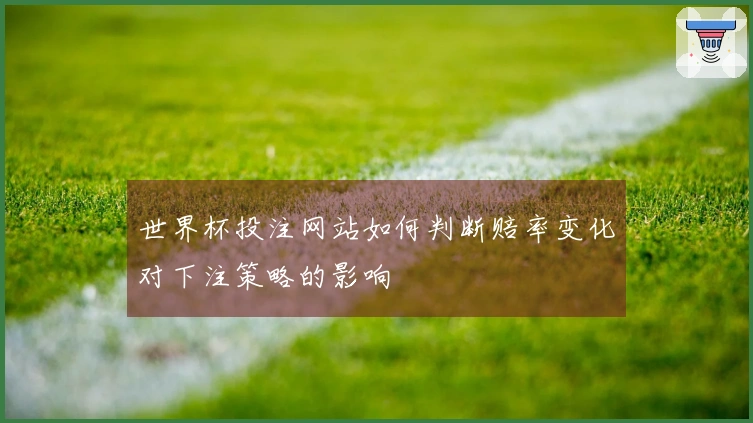 世界杯投注网站如何判断赔率变化对下注策略的影响