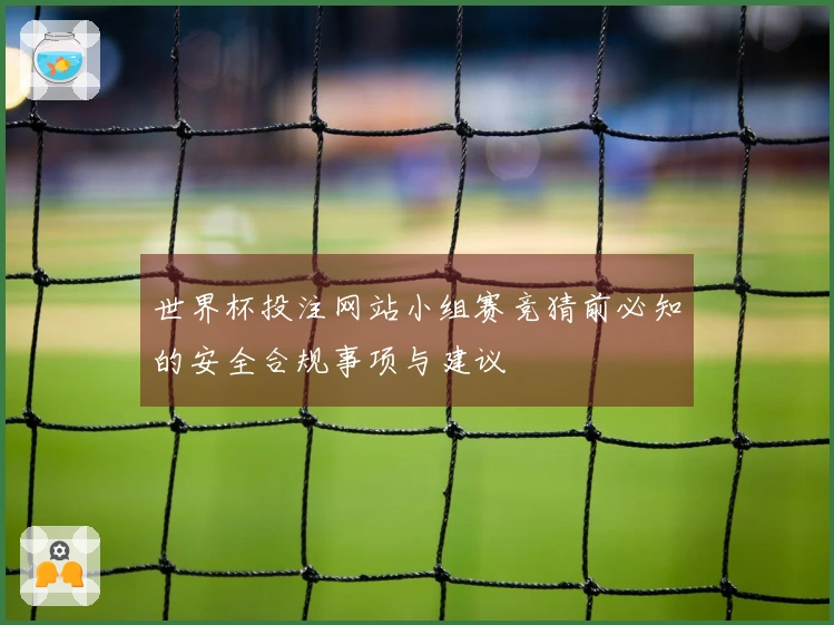 世界杯投注网站小组赛竞猜前必知的安全合规事项与建议
