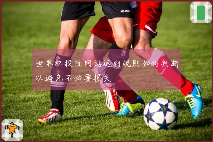世界杯投注网站返利规则如何判断以避免不必要损失